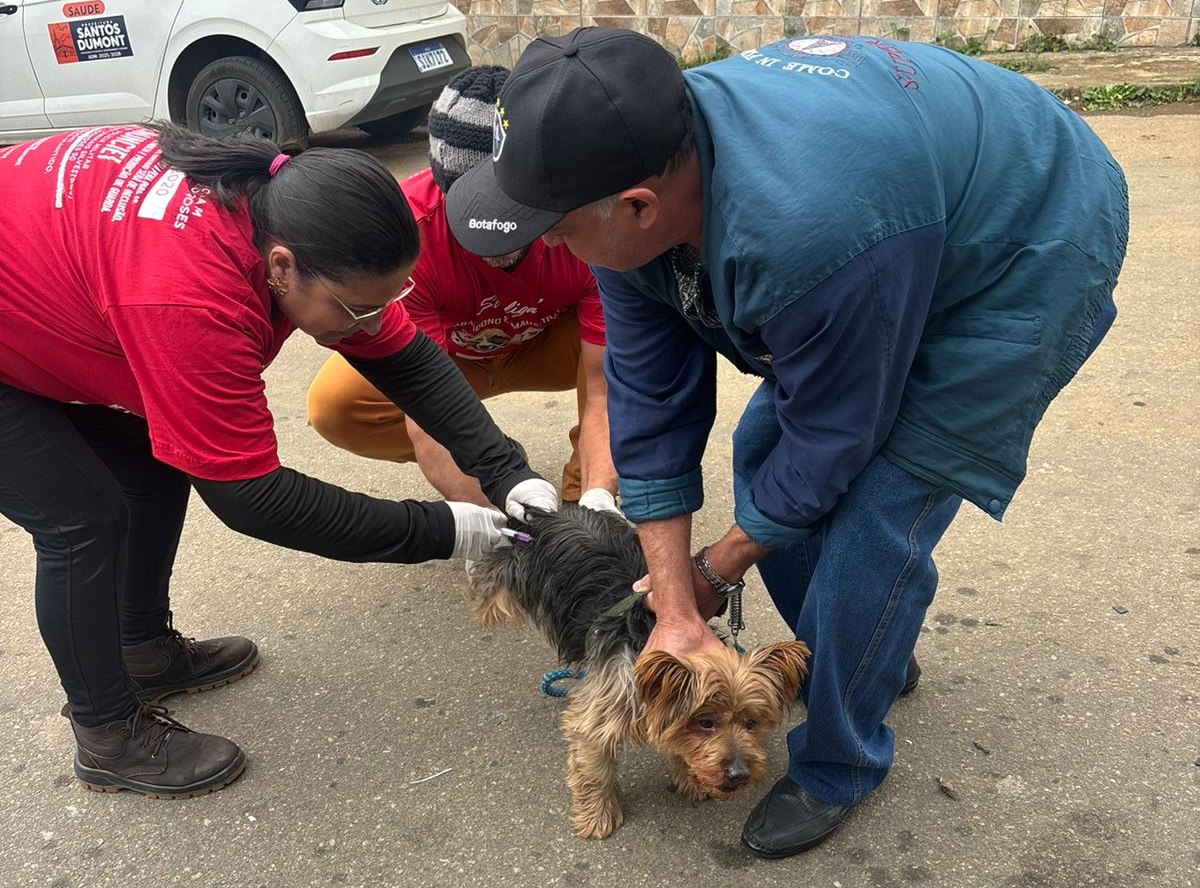 Segunda dose da vacina antirrábica começa a ser aplicada nesta terça-feira em Santos Dumont
